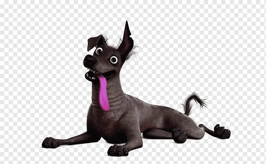 Данте тайна коко. Тайна коко собака данте. Данте тайна коко. Собака данте из мультика тайна коко. Тайна коко животные.