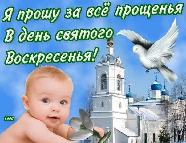 День прощения маме