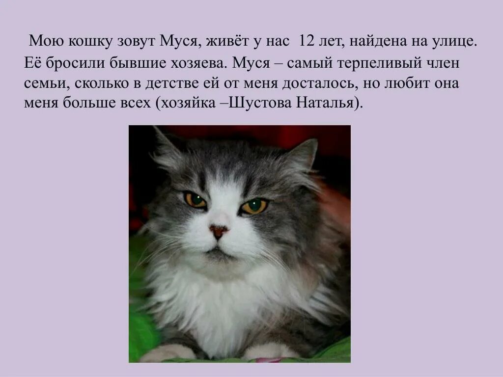 Мою кошку зовут. Кошка Муся. Рассказ про кошку Мусю. Как зовут мою кошку. Почему кошку зовут кошку