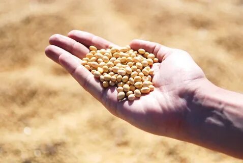 Agricultural products