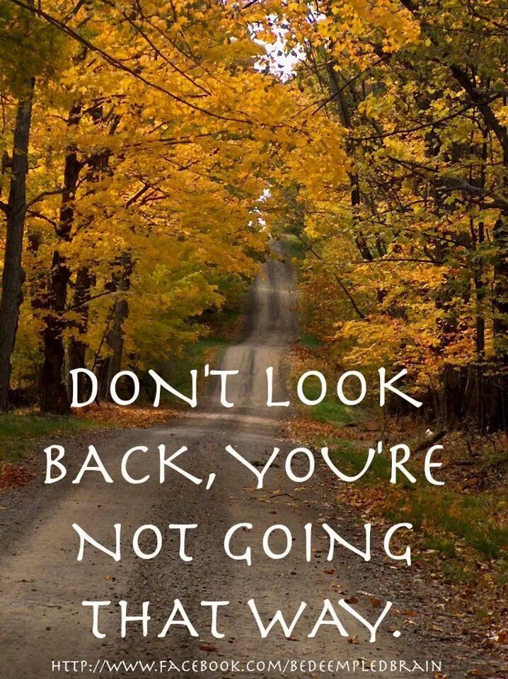 Dont back. Keep going forward. Don't look back quotes. Don’t look back you’re not going that way. Don't forget the past.