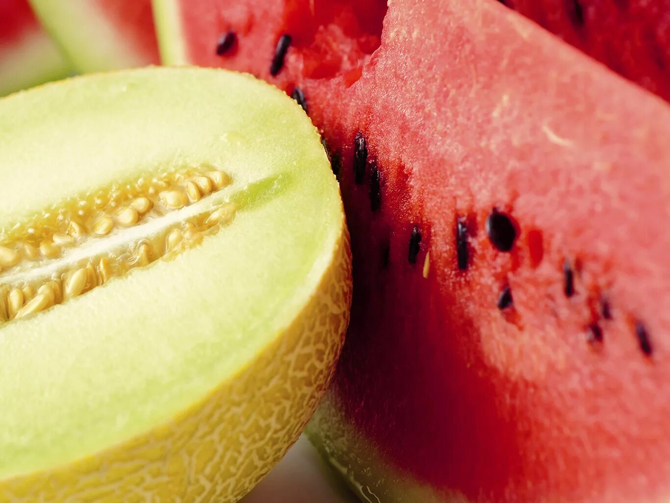 дыня ферганская. арбузов и дынь. дынная бахча. бахчевые арбузы. арбузов и дынь.