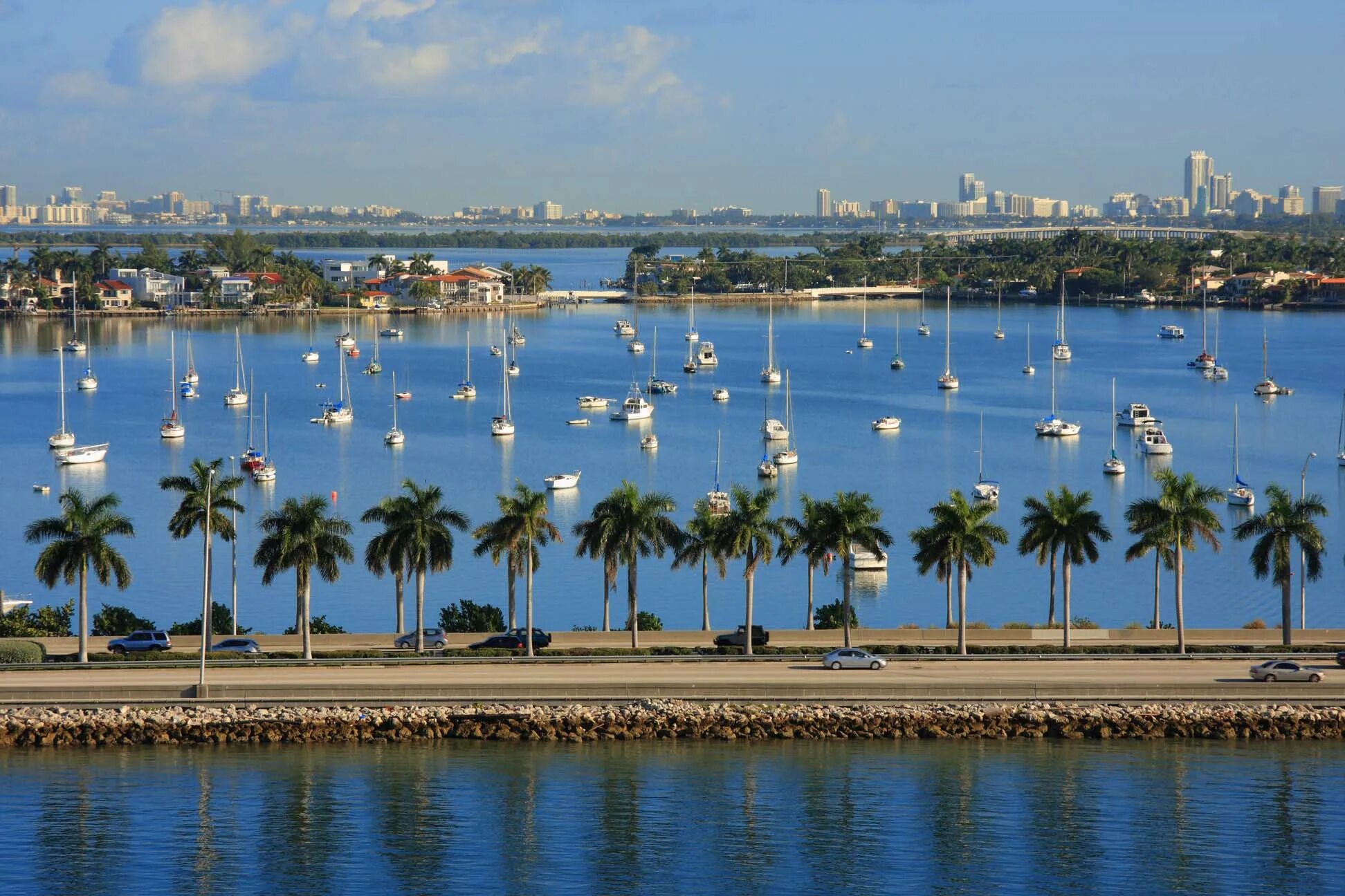 Флорида климат. Майами флорида цунами. Сарасота флорида. Маленькое гаити в майами. Флорида климат.