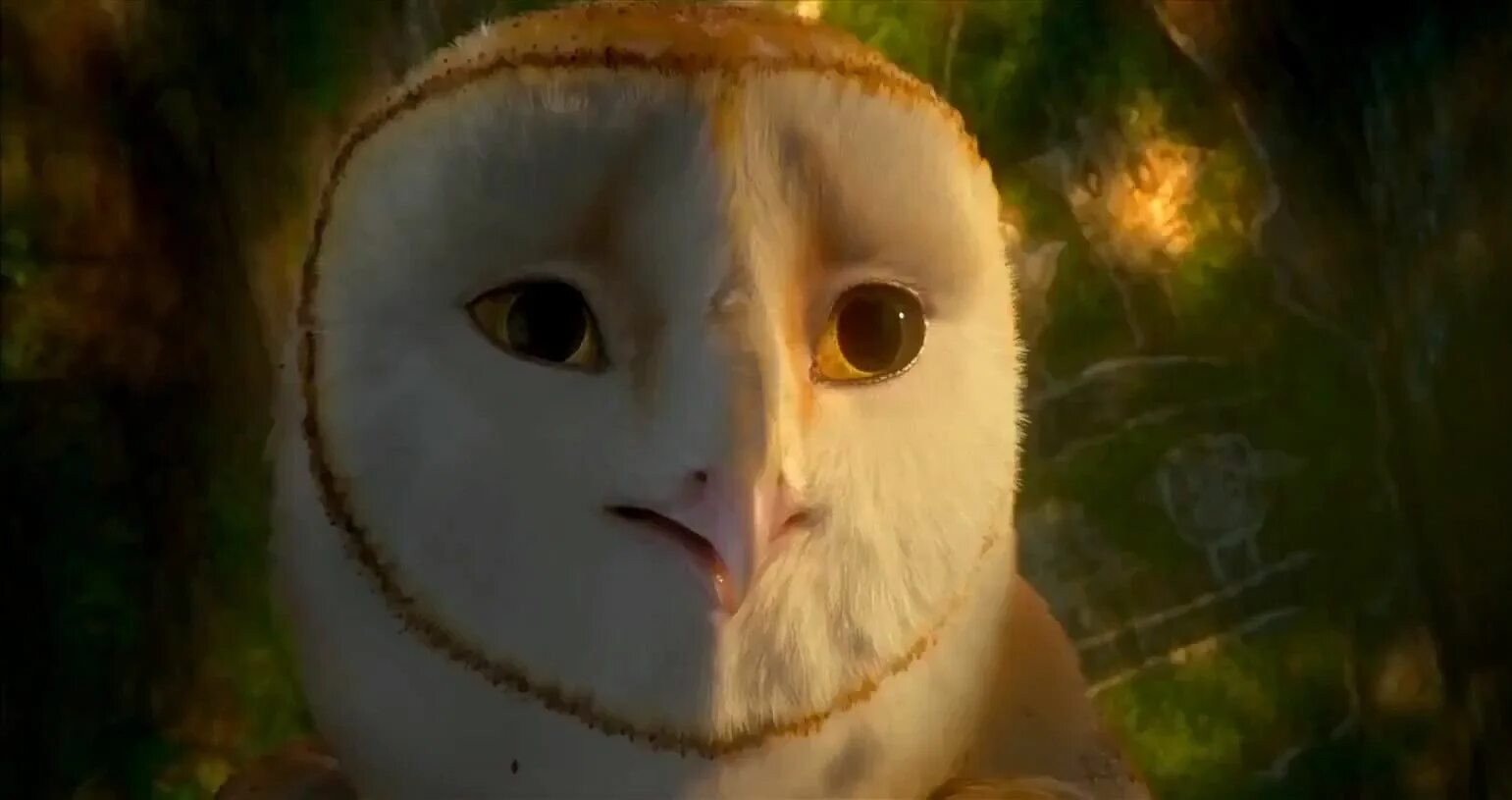Ga hoole guardians the owls legend. Легенды ночных стражей мультфильм 2010. Легенды ночных стражей Сорен и Клудд. Легенды ночных стражей мультфильм 2010 Эглантина. Совы из легенды ночных стражей.