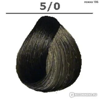5 0 цвет волос