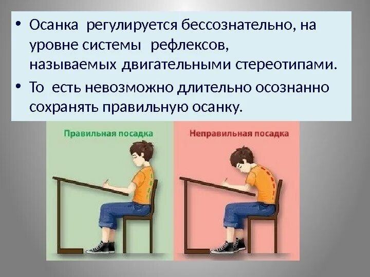 Динамический стереотип движения. Динамический стереотип примеры. динамический стереотип картинки. динамический стереотип физиология. динамический стереотип презентация.