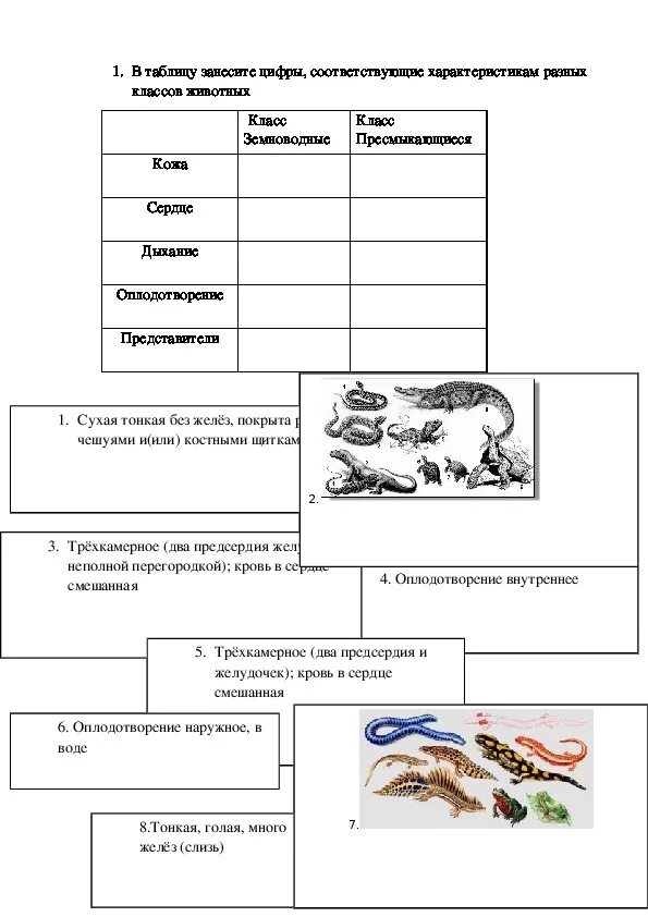 Класс пресмыкающиеся 7 класс вариант 2. Пресмыкающиеся 7 класс биология задания. Задание по биологии 7 класс пресмыкающиеся. Задание по классу пресмыкающиеся. Карточки по пресмыкающимся.