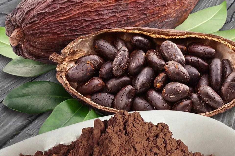 Какое какао лучше выбрать. Какао. Какао Бобы. Какао натуральный. Какао Бобы и порошок.