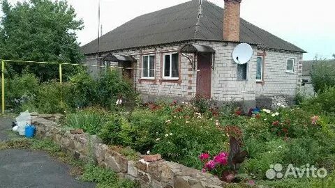 Авито тарасовский