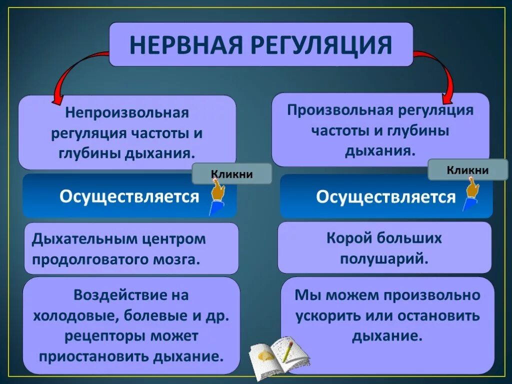 Почему дыхание восстанавливается непроизвольно