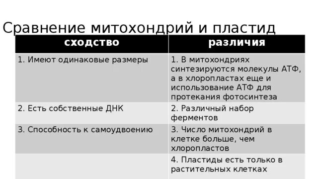 Сходство хлоропластов. Различия митохондрий и пластид. Сходства и различия митохондрий и пластид. Сходство митохондрий и пластид. Митохондрии и пластиды сходства и различия таблица.