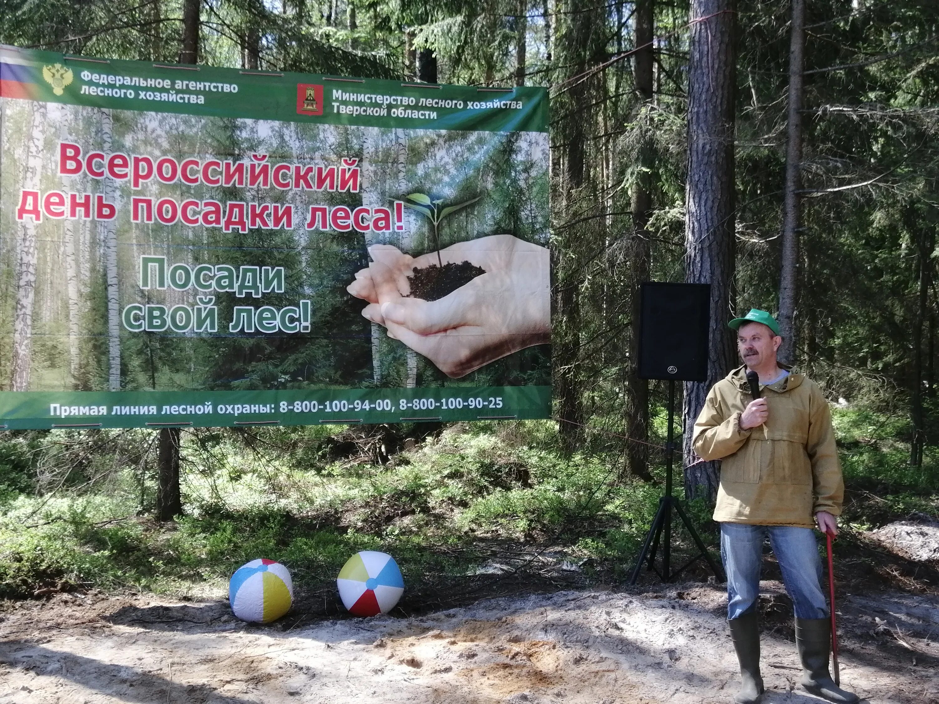 Охрана леса Тверской области. Министерство лесного комплекса Тверской. Лесничества Тверской области. Сквер при департаменте лесного хозяйства.