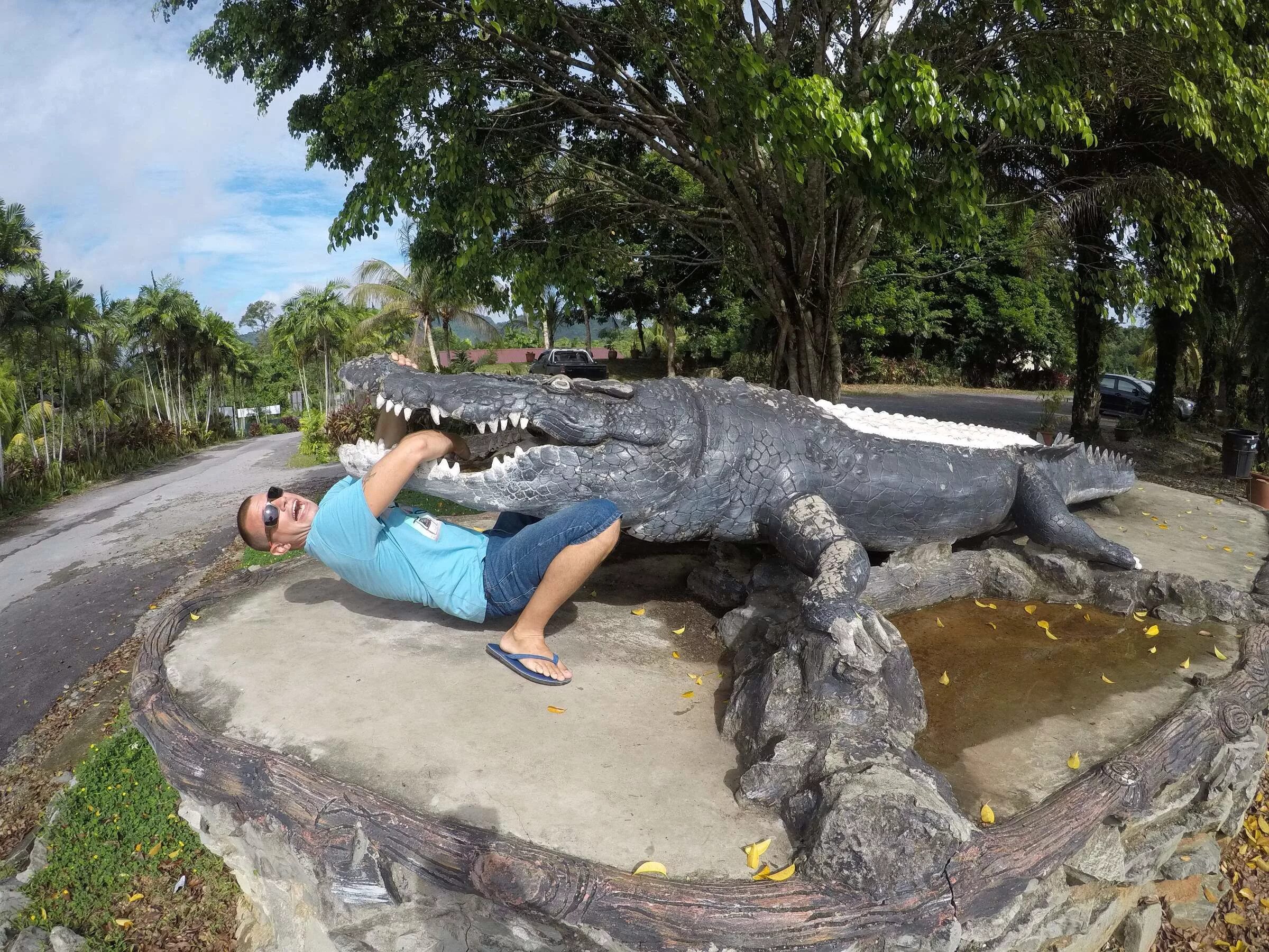 приснился крокодил к чему женщине во сне. крокодил на суше. крокодил спит. нильский крокодил. видеть во сне крокодилов.