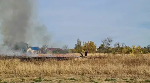 Новоусманское сельское поселение 1 воронежская область