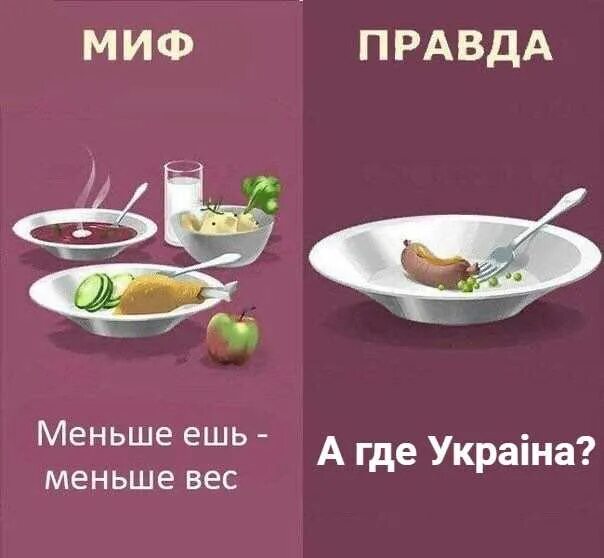 Проект миф или правда. Миф правда. правда или миф. как меньше есть. миф и правда в картинках.