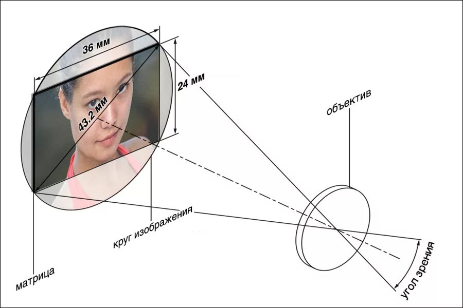 Нормальный угол обзора человека. Угол охвата зрения человека. Угол обзора человеческого глаза по вертикали. Сколько градусов зрение у человека. Угол зрения человека.