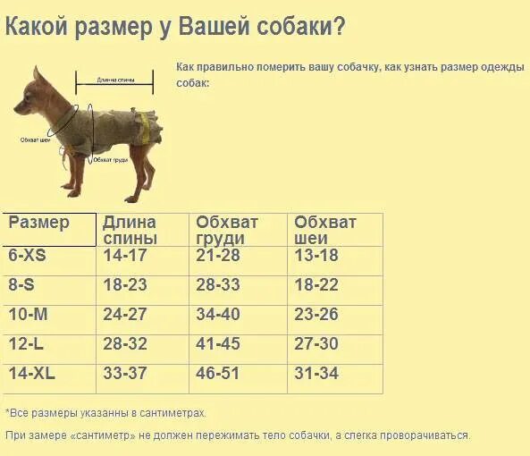 Размерная сетка для собак мелких пород той терьер. Размерная сетка для собак мелких пород чихуахуа. Таблица размеров одежды для собак мелких пород чихуахуа. Размерная сетка для собак мелких пород Цвергпинчер.