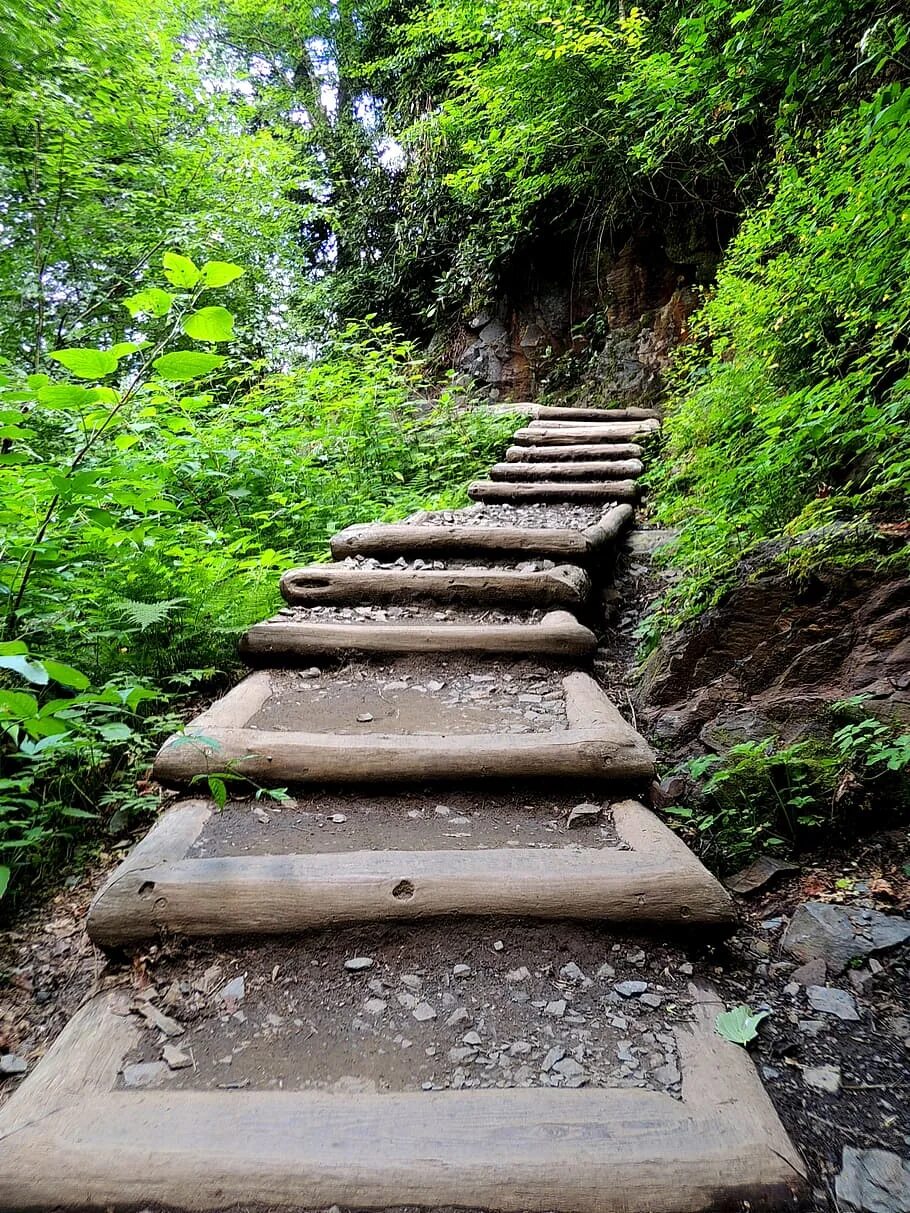 Path info