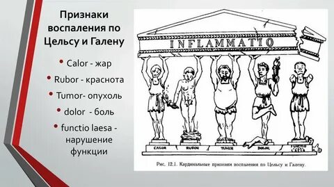 5 признаков воспаления на латинском