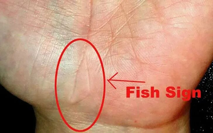 линии ведьмы на ладони хиромантия. мистические знаки на ладони. рыбы хиромантия. ведьмин глаз на ладони. рыбы хиромантия.