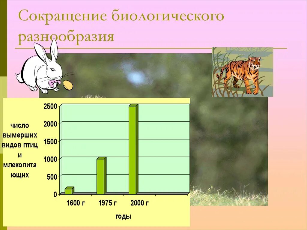 Сокращение видового разнообразия биосферы. Сокращение биоразнообразия. Снижение видового разнообразия. Сокращение видового разнообразия. Снижение биоразнообразия.