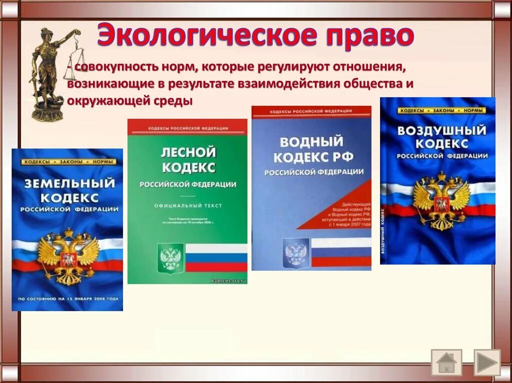 Природное законодательство. Кодексы экологического права. Экологическое право кодекс. Современное российское право. Экологическое законодательство России.