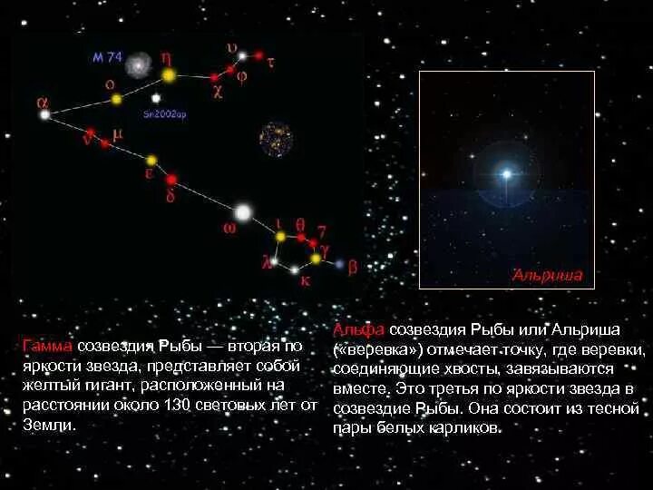 Созвездия яркость звезд. Альфа-Альриша звезда. Созвездие рыбы Альриша. Звезда Альриша из созвездия рыбы. Альфа созвездия рыбы.