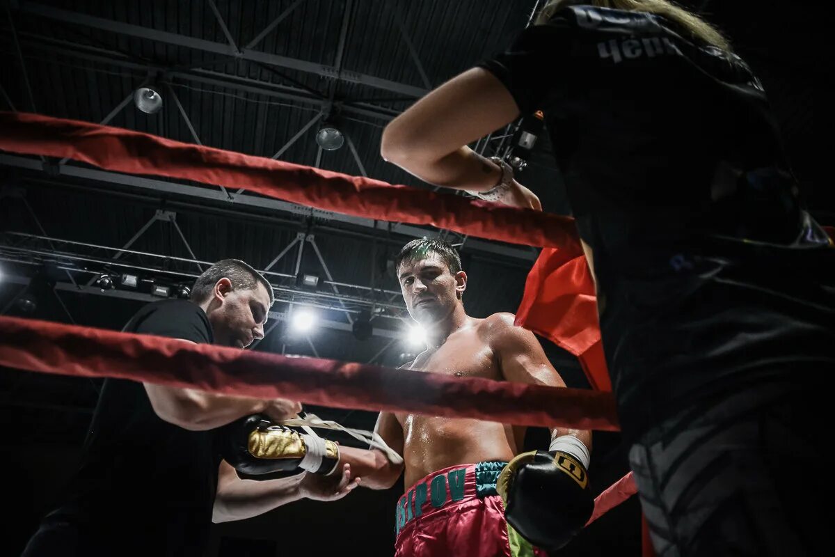 Битва чемпионов 2015. Бой чемпион. Бой чемпион. Бивол бетербиев. Битва чемпионов 2010.