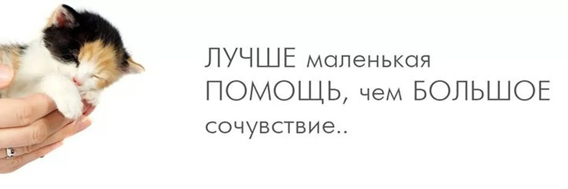 Мало но качественно. Лучше маленькая помощь чем большое сочувствие. Помощь животным. Лучше маленькая помощь чем. Маленькая помощь лучше большого сочувствия.