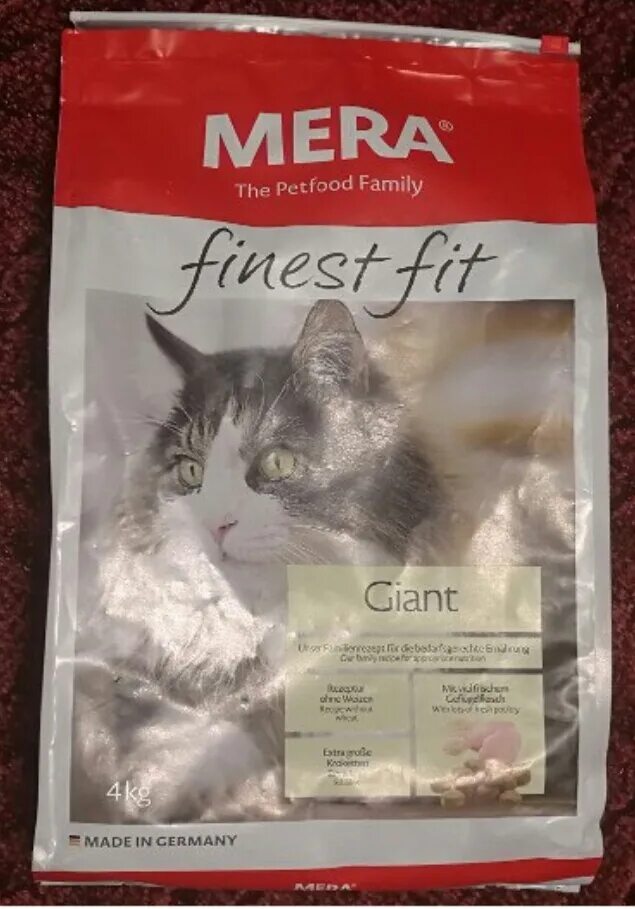 оморось форум. Web форум. форум кэтлайф. 6 ялтинский международный экономический форум. интернет форум.