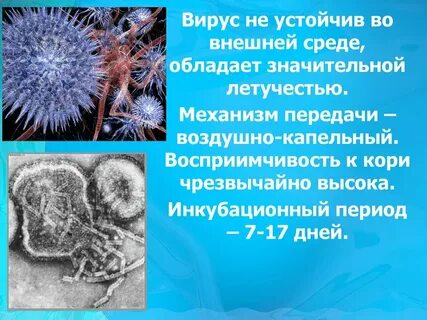 Механизм передачи вируса