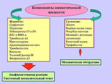 Эмболия амниотической жидкостью