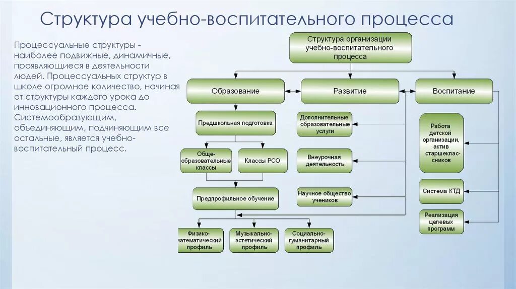 Схемы организации учебно-воспитательного процесса. Организация учебного процесса схема. Структура образовательного процесса схема. Составьте схему «структура образовательного процесса в ДОУ».. Какие учреждения являются образовательными