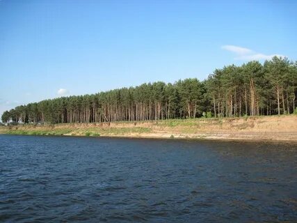 Рекам 52