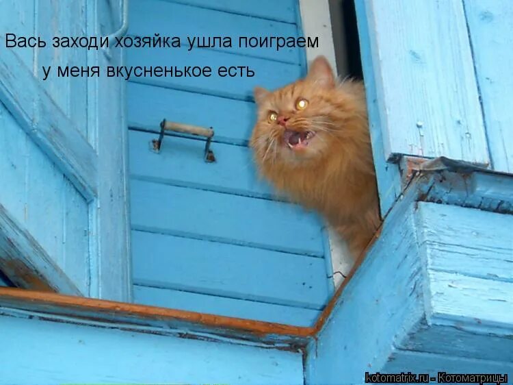 Чтобы пришли домой проголосовать