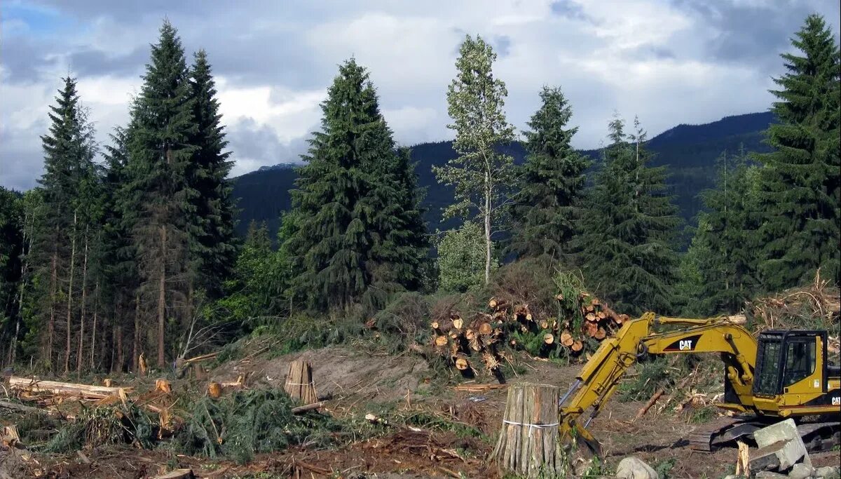 Problems logging