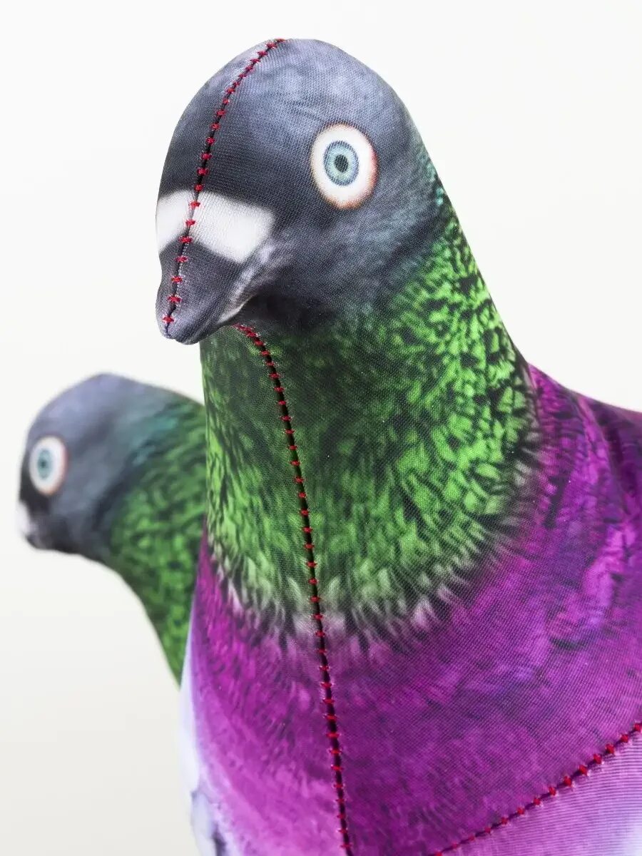 Голубь блоптоп. Блоптоп еж. Голубь блоптоп. Антистресс голубь виктор. Блоптоп голубь.