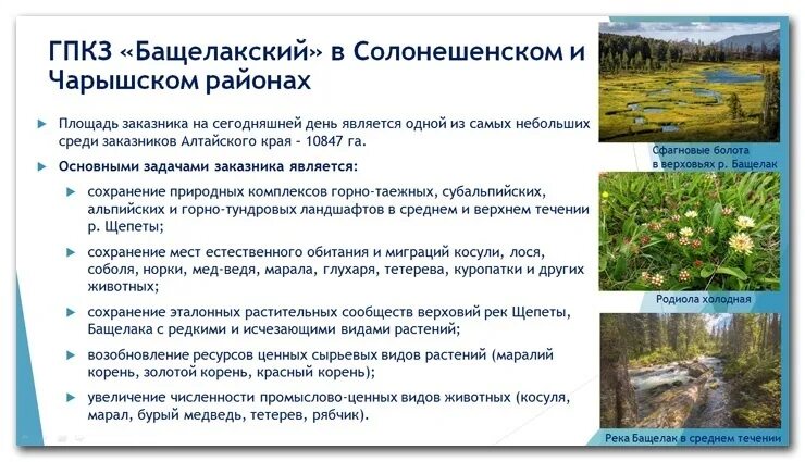 Сообщества алтайского края