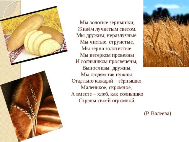Солнышко солнышко золотое зернышко. Хлеб золотое зернышко. солнышко золотое зернышко. как золотистое зерно превращается в душистый хлеб.