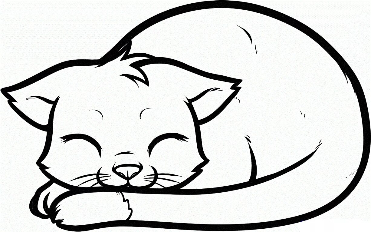 Как нарисовать катнапа. Спящий кот рисунок. Рисунок кота для срисовки. Кот для срисовки карандашом. Рисунок кошки для срисовки.