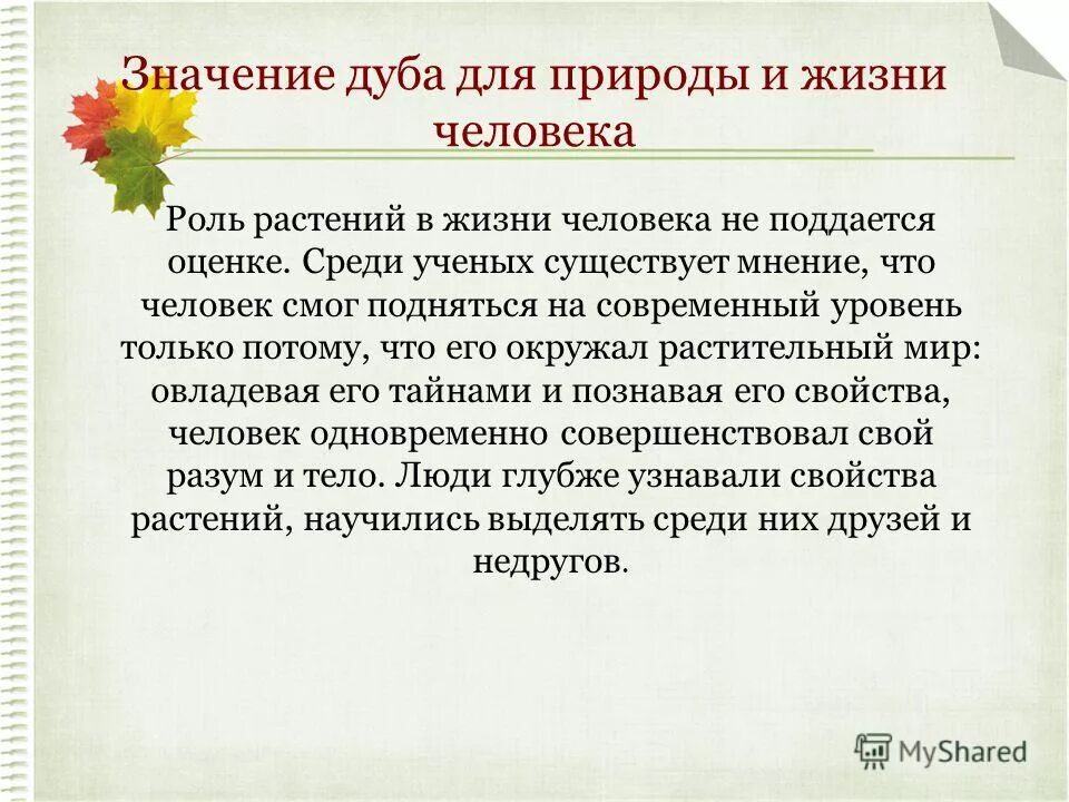 Дать дуба значение. Дать дуба значение