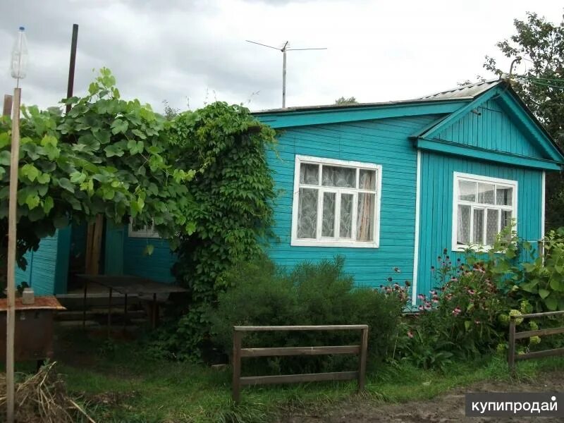 Городецкий район деревня архипиха старый дом. Городец дачи. Деревня бледны городецкий район. Дача городецкого. Зеленый остров городец.