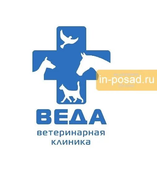 Веда центр. Ветклиника измайлово. Ветеринарная клиника в измайлово. Веда центр. Бц веда хаус.
