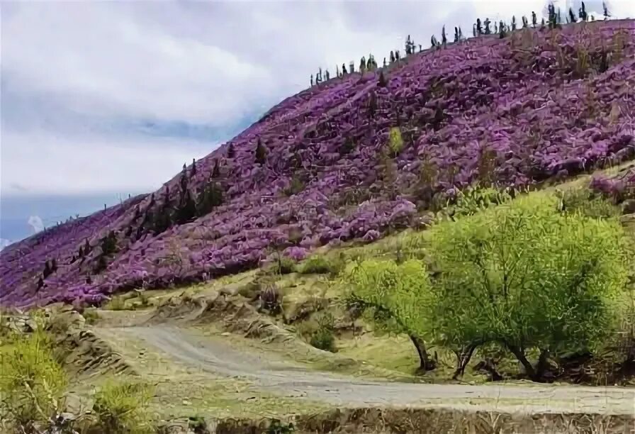 Село маральник. Село маральник. Село маральник. Село маральник 1. Село маральник.