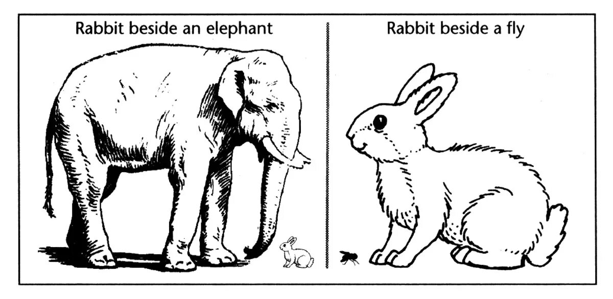 Rabbit elephant. Visual imagery. Кролик Элефант. Imagery. Types of imagery Visual.