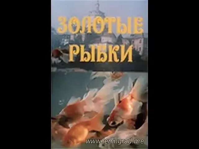 Золотые рыбки 1981
