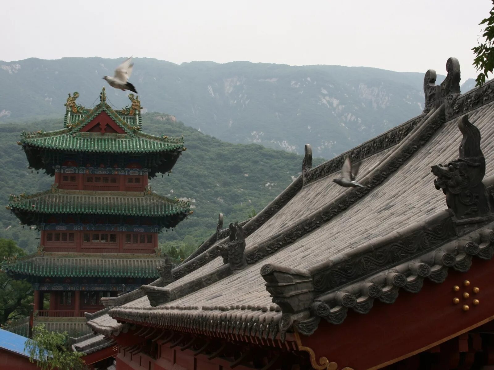 Shaolin temple. Китай храм Шаолинь. Монастырь Шаолинь Хэнань. Буддийский храм Шаолинь. Шаолиньский монастырь гора Суншань.