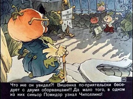 Чиполлино 1