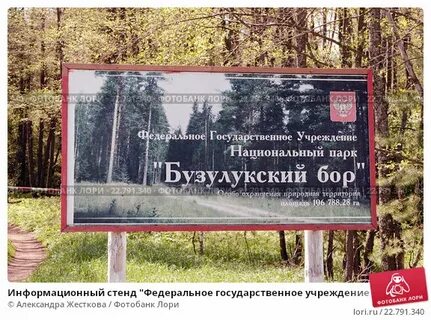 Бузулукский бор разрешение