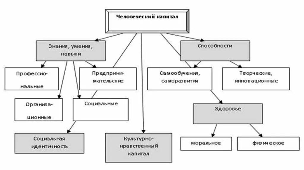 Структура видов человеческого капитала. Структура человеческого капитала схема. Человеческий капитал схема. Схема формирования человеческого капитала. Активы человеческого капитала